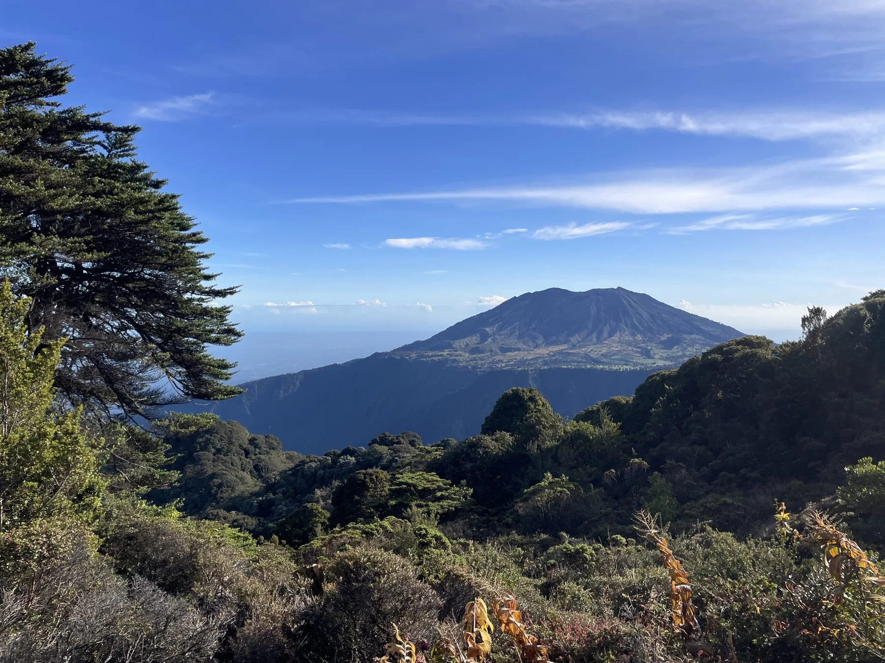 Photograph taken by Patrick while exploring Costa Rica