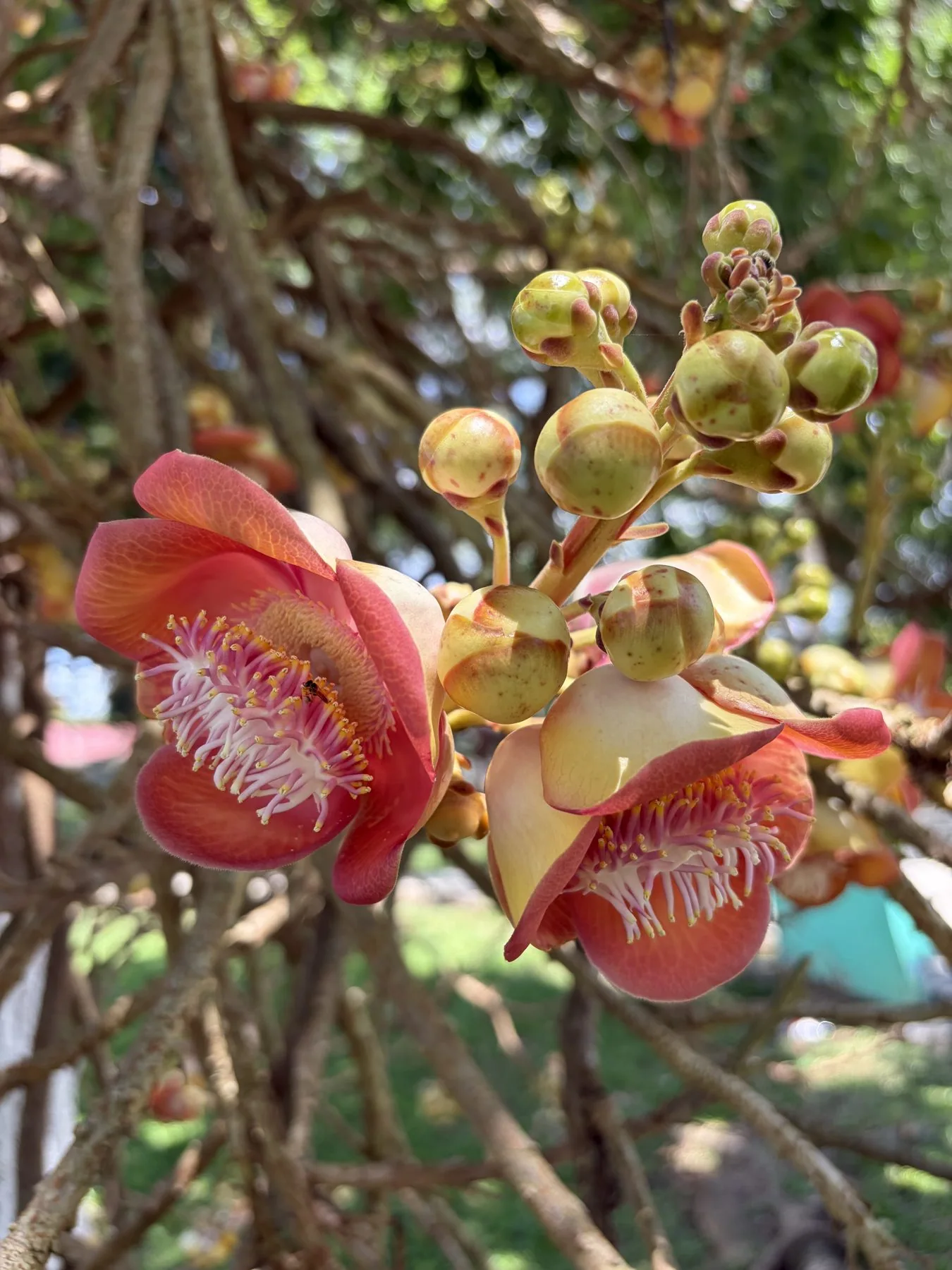 Photograph taken by Patrick while exploring Costa Rica