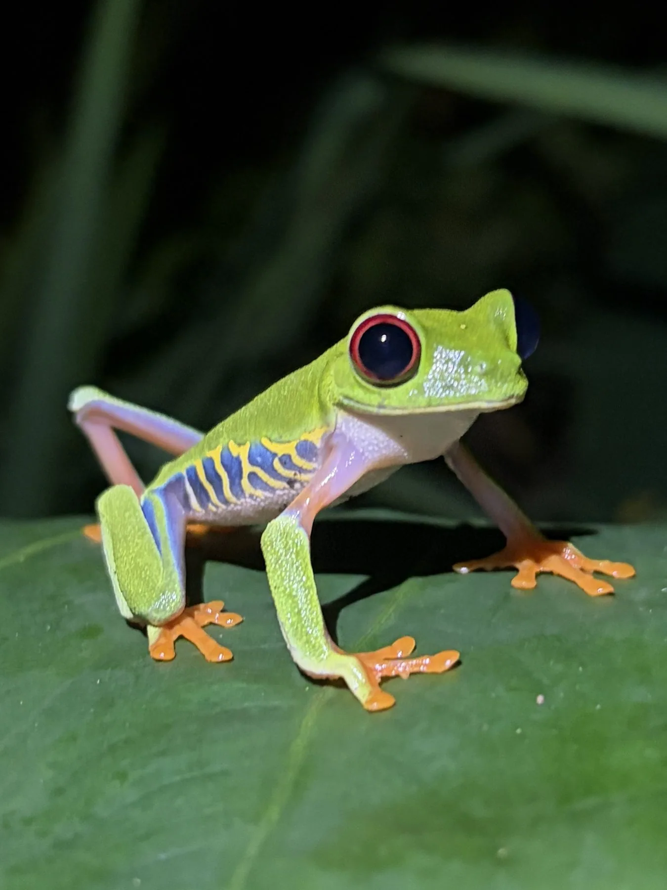 Photograph taken by Patrick while exploring Costa Rica