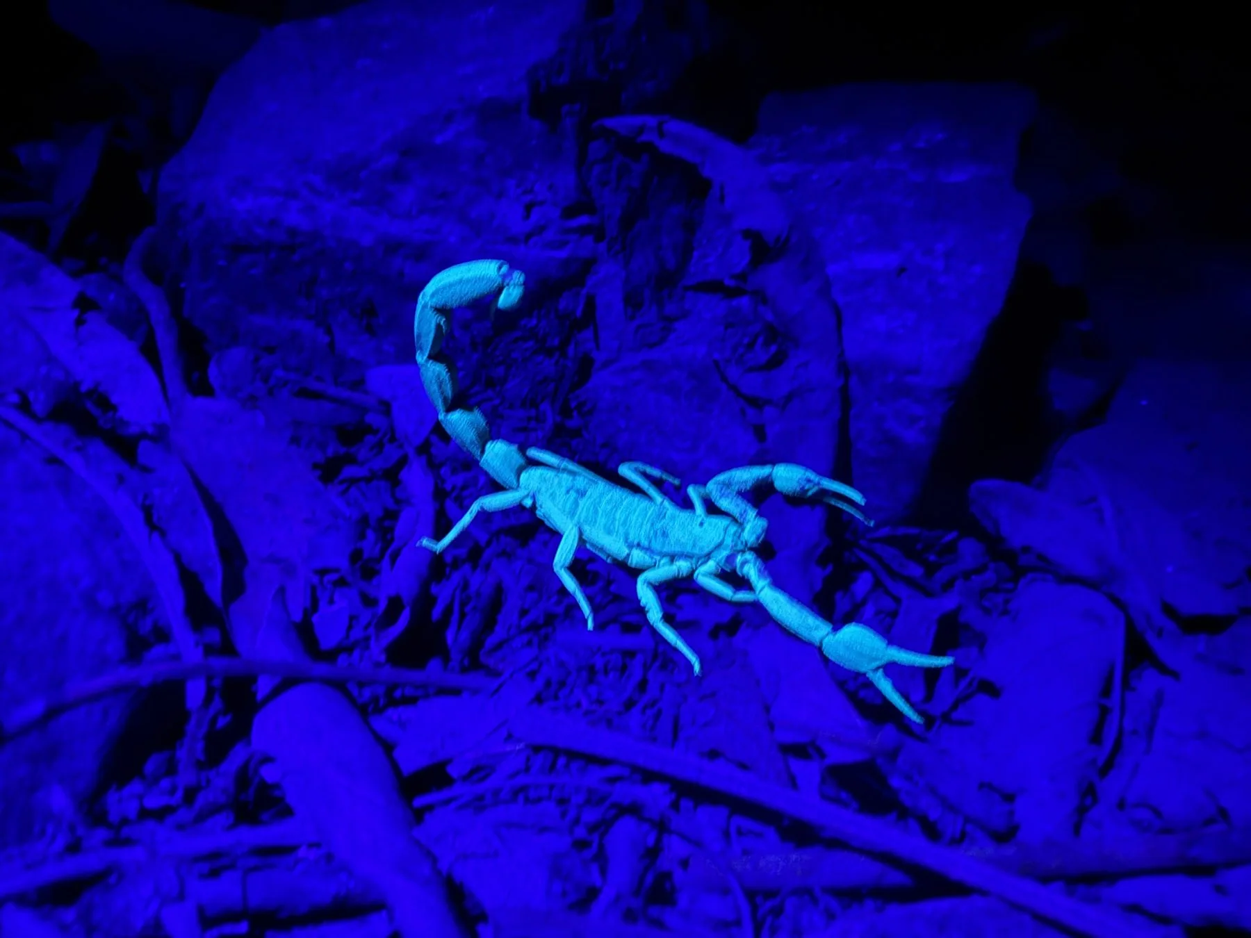Photograph taken by Patrick while exploring Costa Rica