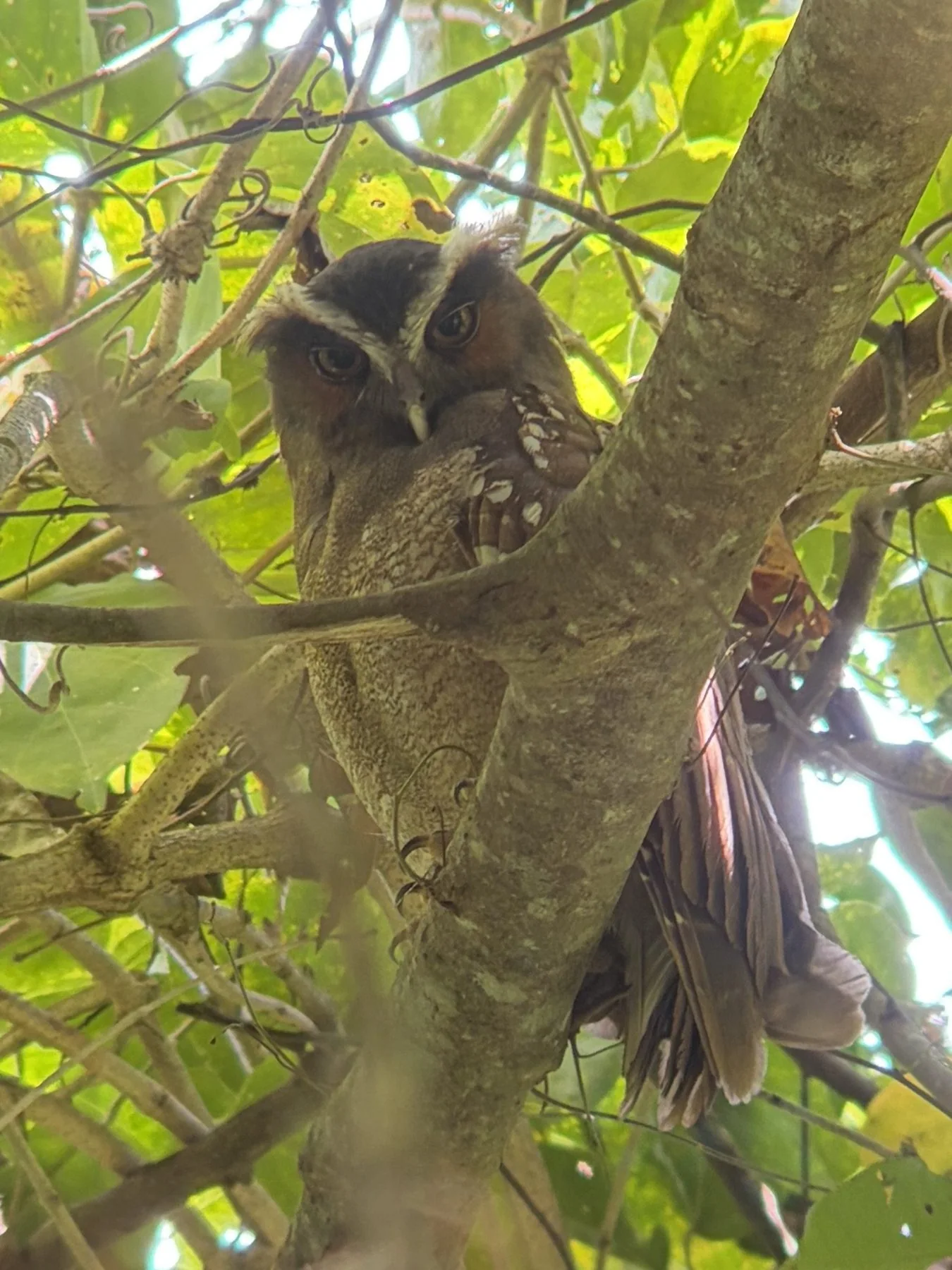 Photograph taken by Patrick while exploring Costa Rica