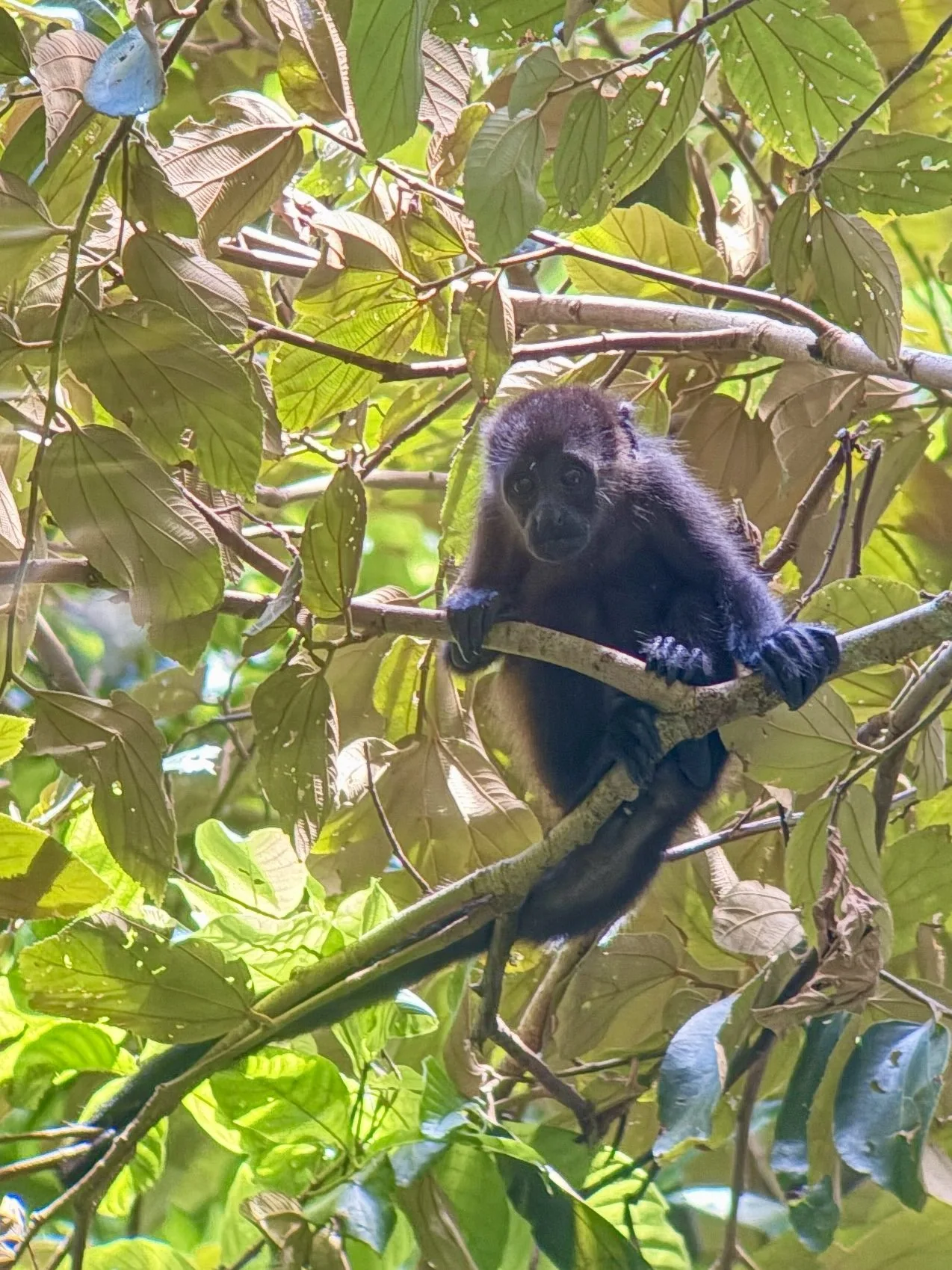 Photograph taken by Patrick while exploring Costa Rica