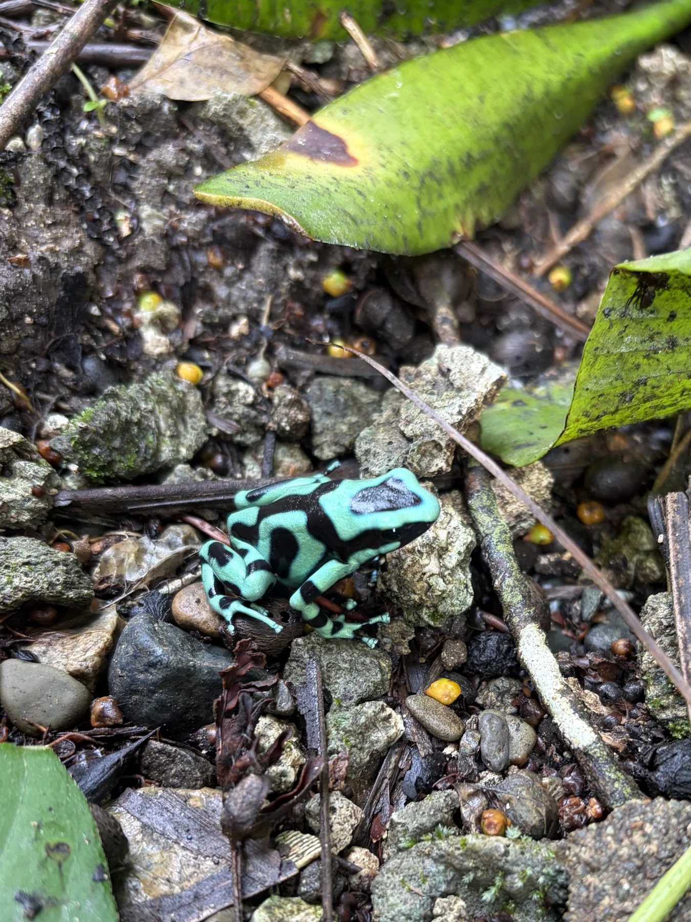 Photograph taken by Patrick while exploring Costa Rica