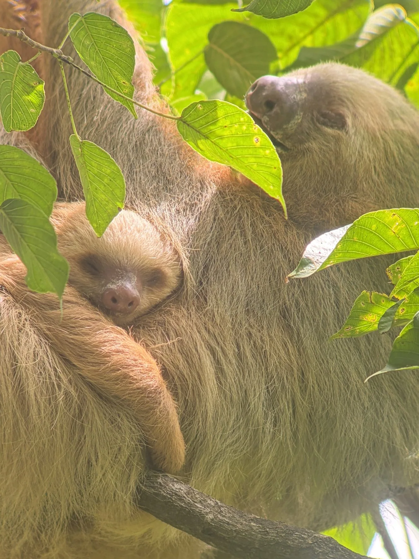 Photograph taken by Patrick while exploring Costa Rica