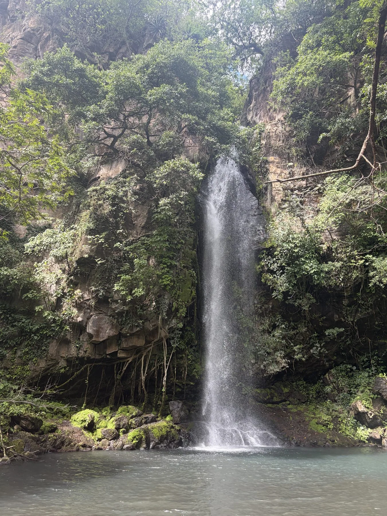 Photograph taken by Patrick while exploring Costa Rica
